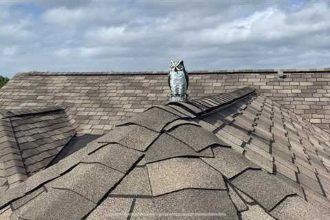 What Can I do to Maintain my Own Roof? - SmartLiving