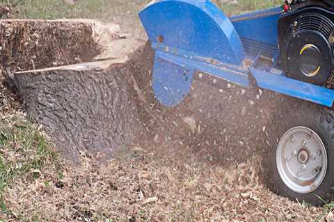 Who does stump grinding?