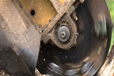 How long does stump grinding take?