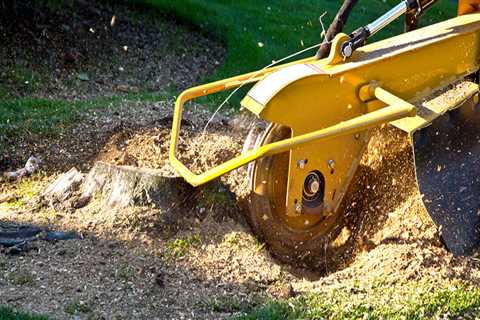 Why is stump removal so expensive?