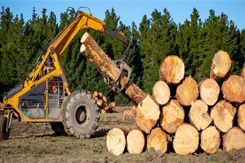 How is logging known?