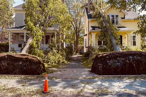 Can trees break a house?