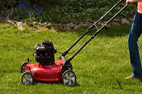 What lawn care for spring?