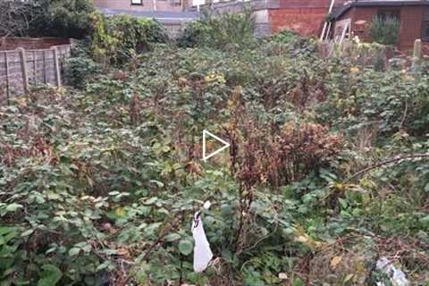 Abandoned London Garden Complete Transformation Makeover. Little Acorns Landscapes (Time-Lapse)