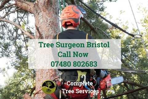 Soundwell Tree Surgeons Commercial & Residential Tree Removal & Pruning Services