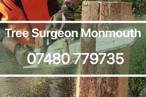 Tree Surgeon Abergavenny