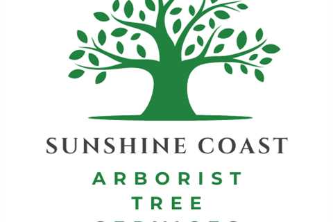 Tree Lopping Caloundra | Tree Removal & Stump Grinding