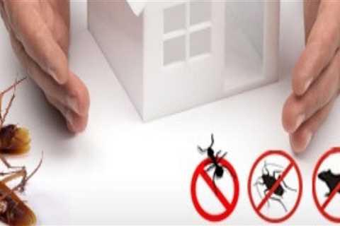 What are the reasons for pest control?