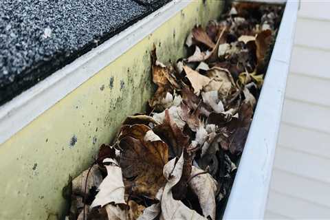 Can clogged gutters damage roofs?