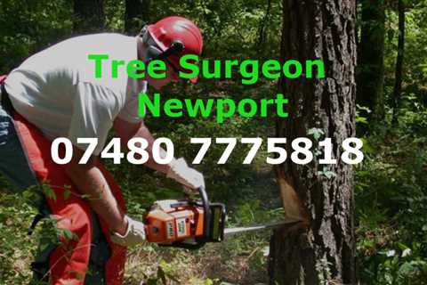 Tree Surgeon Cadoxton