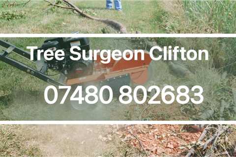 Tree Surgeon Banwell