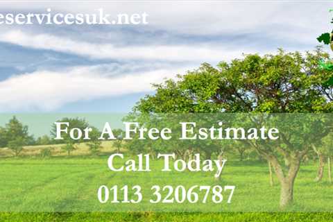 Tree Surgeon in Leeds 24-Hour Emergency Tree Services Dismantling Felling & Removal
