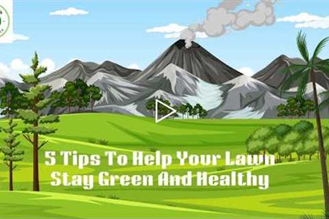 5 Tips To Help Your Lawn Stay Green And Healthy - Lawn Care Service Pflugerville 737-289-8350