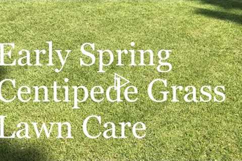 Early Spring Centipede Grass Lawn Care Tips | Prepare lawn for growing season