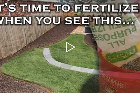 How to easily know when to fertilize your lawn just by looking at it. 3 telltale signs it's time.