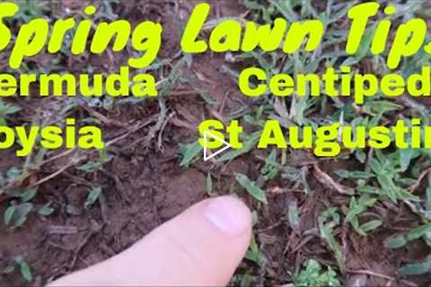 Spring Lawn Care Tips - Bermuda, Zoysia, Centipede and St  Augustine Lawns