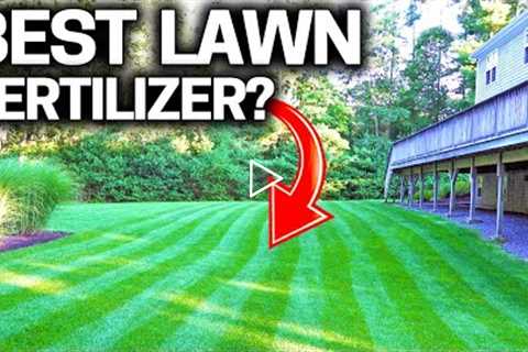 What is the BEST LAWN Fertilizer - STOP Wasting Money!