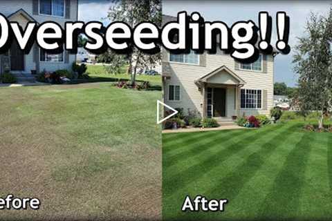 How To OVERSEED Your Lawn in SPRING // Complete Step by Step Guide