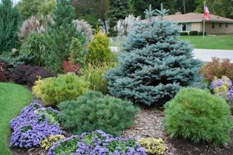 EPS Landscaping & Tree Service LLC