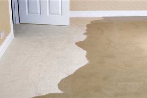 How To Prevent Mold After Your House Floods