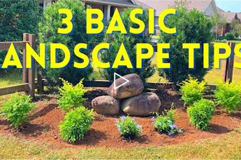 (Beginner) Landscaping Tips