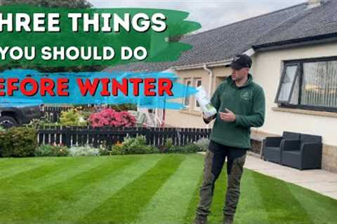 3 Things to do to your lawn before winter // Autumn Lawn Care