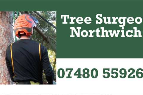 Tree Surgeon Rainhill