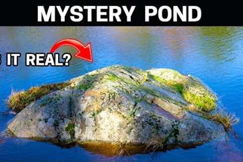 Saving a Dying Pond Reveals its Shocking Truth
