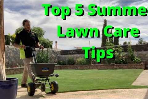 Top 5 Summer Lawn Care Tips