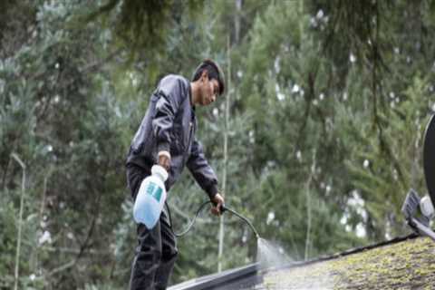 How do you get moss off roof shingles?