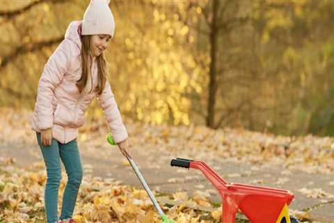 Why is fall clean up important?