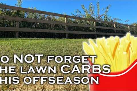 Offseason Lawn Care // What I Do & Don''''t Do...