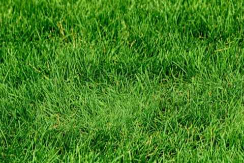What does lawn treatment do?