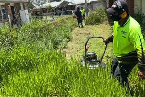 Yard Neglected Due To Health Condition | FREE MOWING - Satisfying Outcome | Slasher Team