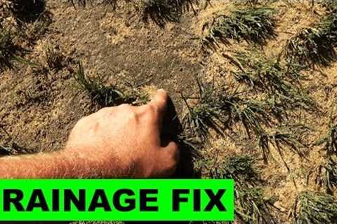 Fixing soggy lawns with sand