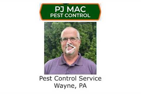 Pest Control Service Wayne, PA - PJ Mac Pest Control