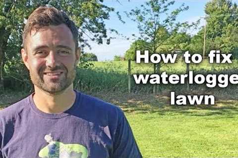 How to fix a waterlogged lawn