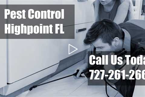 Exterminator In Highpoint FL - Domestic 24 Hour Pest Control Bed Bug Control & Termite Control