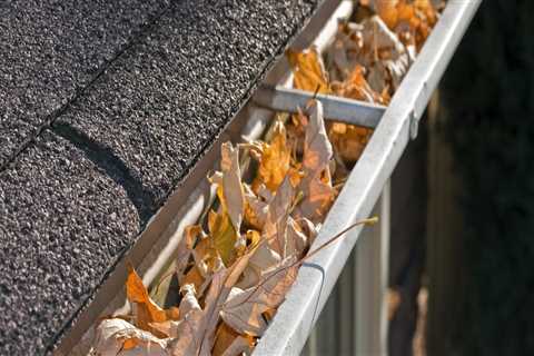 Debris Removal and Water Damage Prevention in Gutters