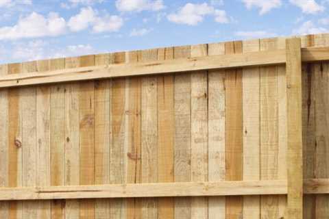 What Is The Best Fencing Option in Broward County You Should Opt For