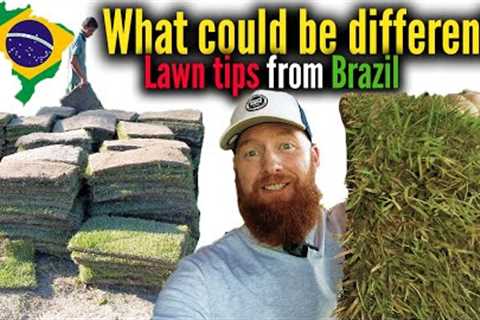 7 Lawn tips for beginners.  How to maintain a lawn.  Grass care in Brazil.