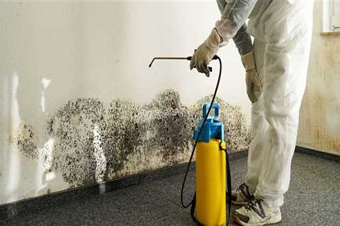 Can mold remediation be capitalized?
