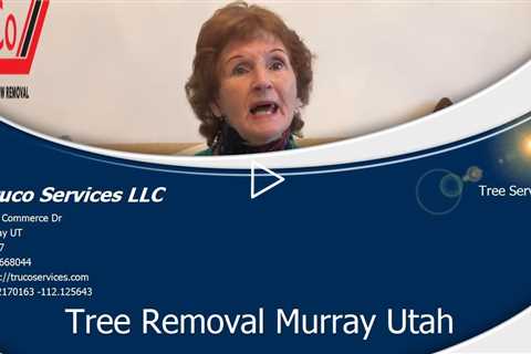 Commercial Tree Service Price Utah