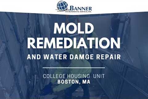 Mold Remediation & Water Damage Repair • Boston, MA