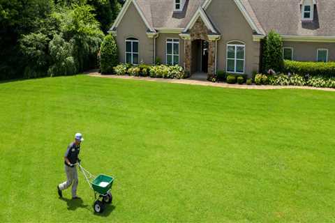 What are the benefits of a healthy lawn?