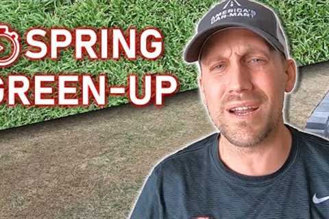 If Your Spring Lawn GREEN-UP is Slow, Here''s the PROBLEM - Scalping Bermudagrass Only Helps a..