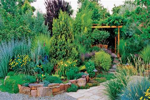 Xeriscaping: A Lush Landscape with Less Water