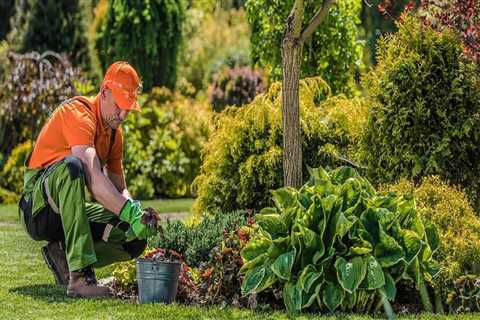 How Often Should Groundskeeping Tasks Be Performed? A Comprehensive Guide