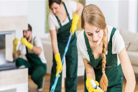 How Often Should You Use a House Cleaning Service?