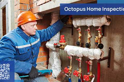 Standard post published to Octopus Home Inspections, LLC at May 01, 2023 20:00